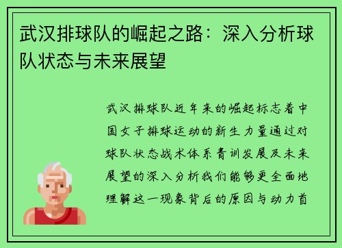 武汉排球队的崛起之路：深入分析球队状态与未来展望